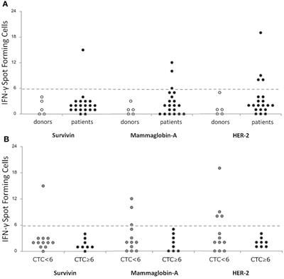 Clinical relevance of the combined analysis of circulating tumor cells and anti-tumor T-cell immunity in metastatic breast cancer patients